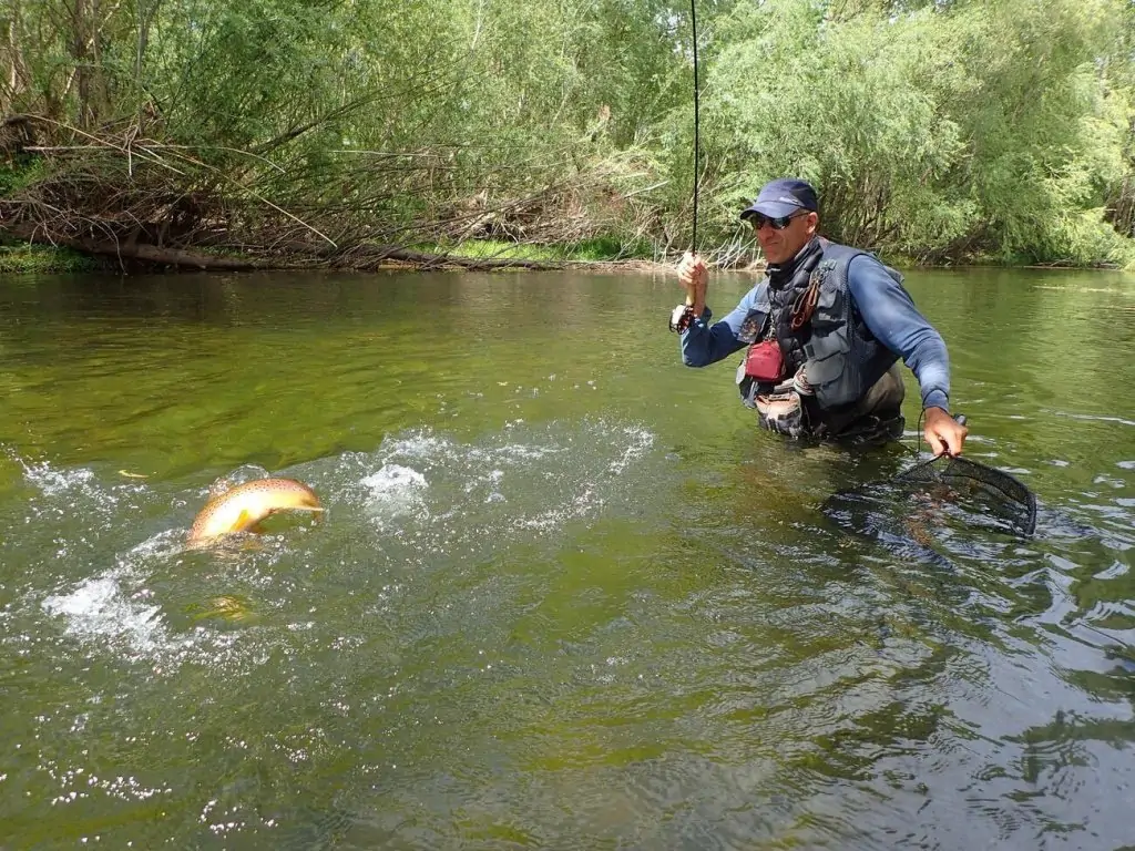 peche au coup