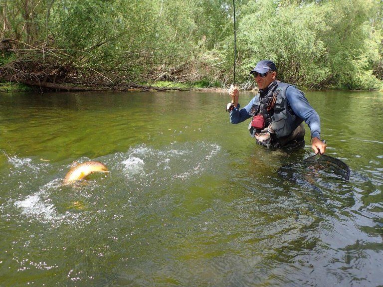 peche au coup
