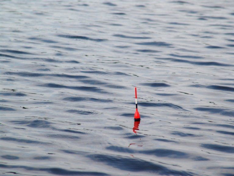 tout savoir pour une pêche au bord de mer réussie