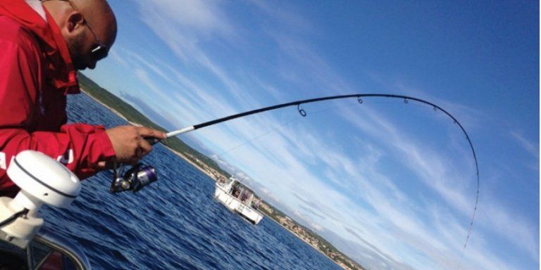 Pêche au feeder en mer : conseils de nos experts