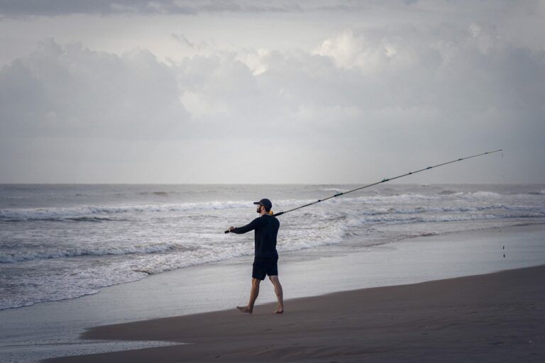 fish, leisure, hobby