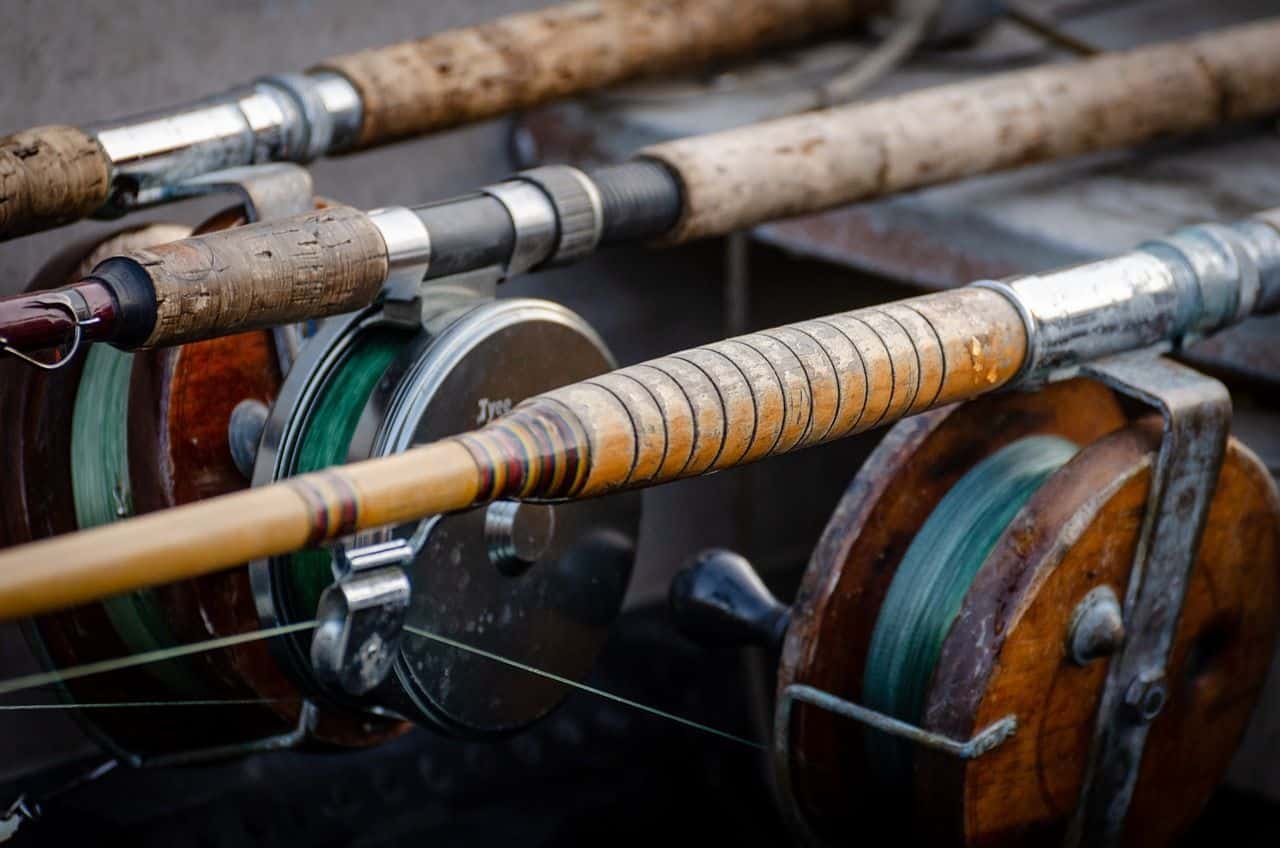 Quels fils de pêche privilégier pour la pêche aux carnassiers ?