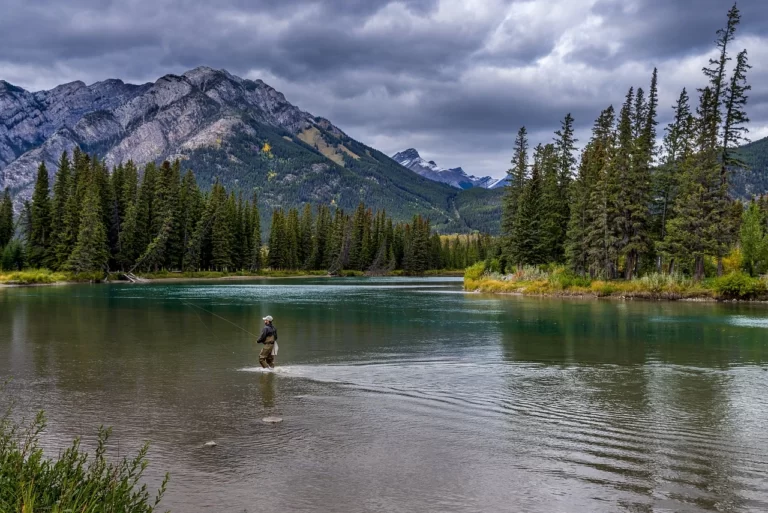 Faire de la pêche durable protection environnement