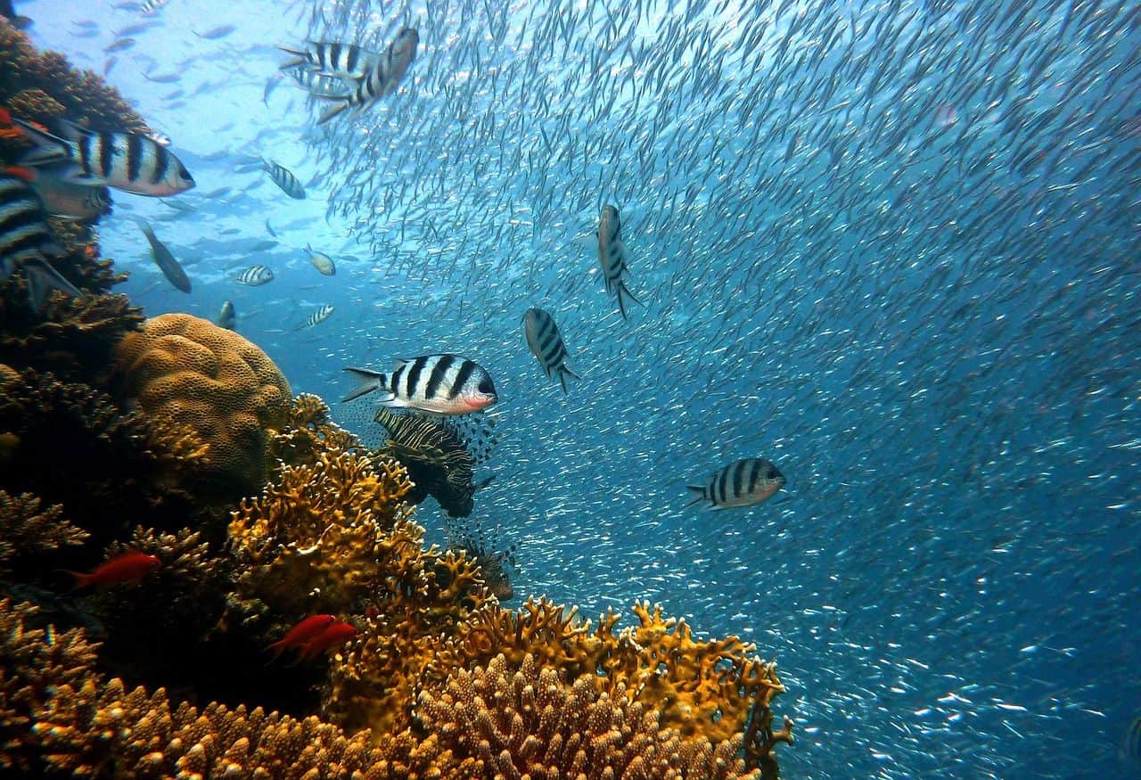 Le matériel essentiel pour débuter la pêche en haute mer