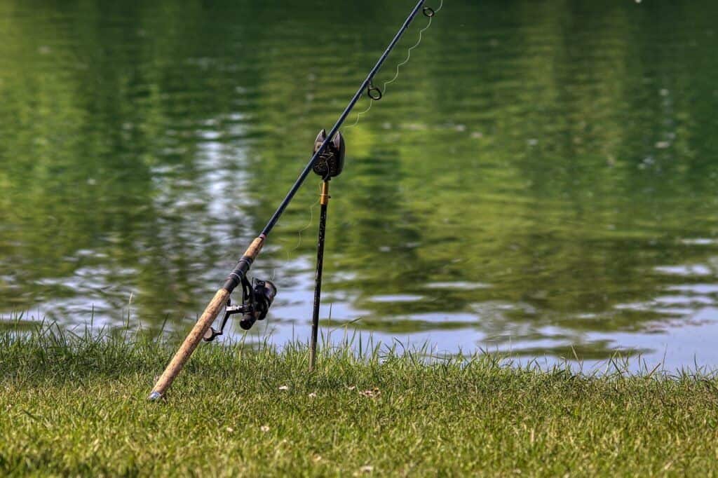 Quels fils de pêche privilégier pour la pêche aux carnassiers ?