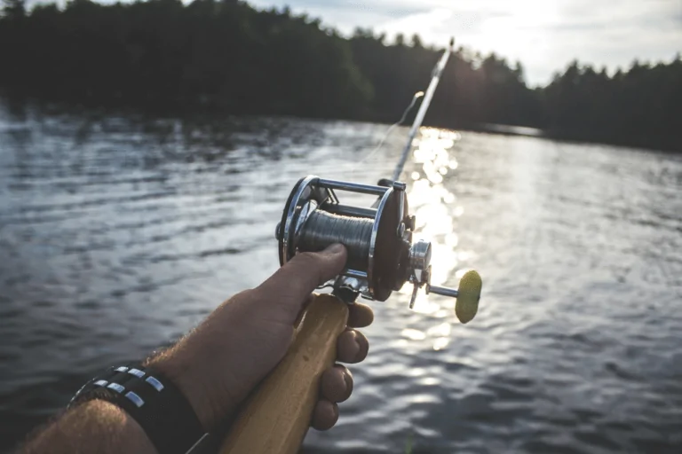 Comment bien commencer la pêche en lac ?